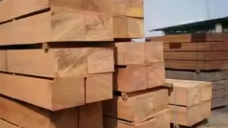 أسعار الأخشاب اليوم السبت 31 أغسطس 2024.. بكام المتر النهاردة ؟
