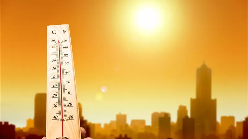 ‎اليوم الثلاثاء.. تعرف على تفاصيل حالة الطقس في مصر ودرجات الحرارة