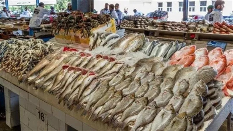 أسعار الأسماك والجمبري اليوم السبت 14-9-2024 في سوق العبور