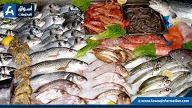 البلطي بكام انهاردة.. أسعار السمك والجمبري اليوم الأحد 15-9-2024