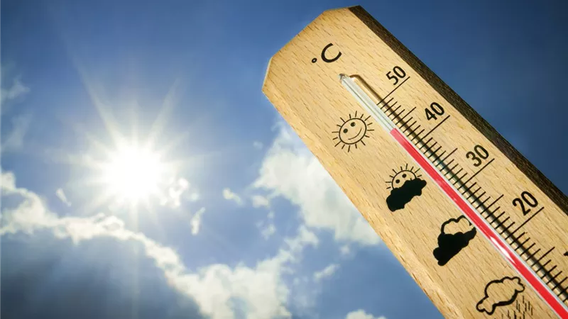 ‎طقس اليوم الثلاثاء.. اعرف حالة الطقس في مصر ودرجات الحرارة 17-9-2024