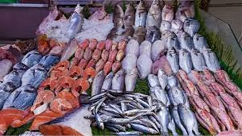 أسعار السمك البلطي والجمبري اليوم الثلاثاء 24-9-2024 في سوق العبور