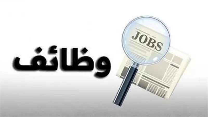 برواتب مجزية.. الشباب والرياضة تعلن عن وظائف شاغرة جديدة