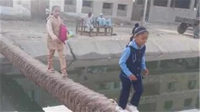 جذع نخلة يتحول لكوبري مشاة تلاميذ مدرسة بقنا.. والوزارة ترد 