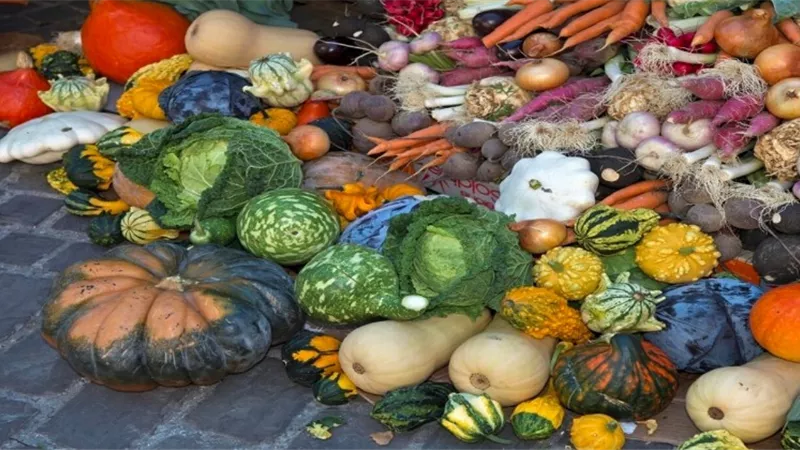 تحمي من الفيروسات.. أطعمة قدّميها لأطفالك كل يوم في الخريف