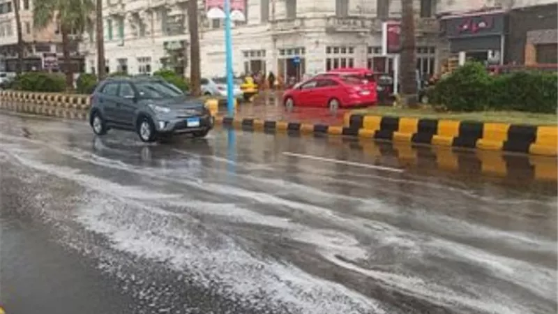 حالة الطقس خلال الـ72 ساعة المقبلة.. اضطرابات بحرية وظواهر جوية
