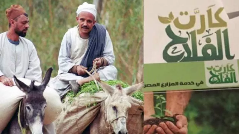 طرق الاستعلام عن كارت الفلاح بالرقم القومي.. اعرفها الآن