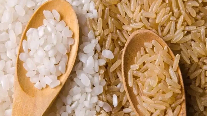 ارتفاع مفاجئ في سعر طن الأرز الشعير اليوم الاثنين 30-9-2024