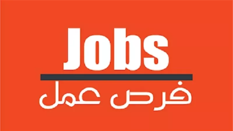 الشباب والرياضة تعلن عن يوم توظيفي مفتوح.. اعرف فرص العمل المتاحة