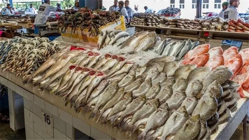 ‎أسعار السمك و الجمبري اليوم الأحد 13 أكتوبر 2024 في سوق العبور