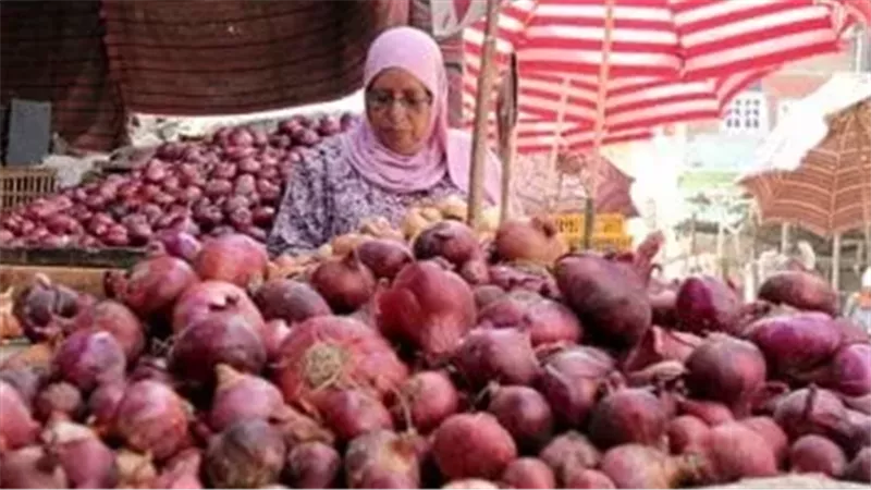 بكام البصل؟.. سعر البصل اليوم داخل الأسواق المصرية 2024