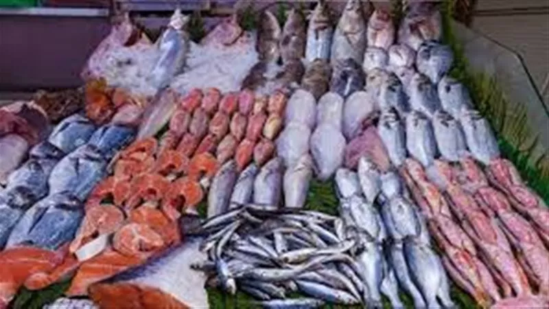 مفاجأة في سعر البلطي.. أسعار السمك والجمبري اليوم الأربعاء 30 أكتوبر 2024