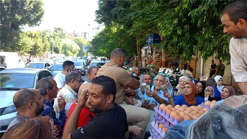  التفاصيل الكاملة لمنافذ بيع كرتونة البيض بـ 150 جنيه  ضمن 