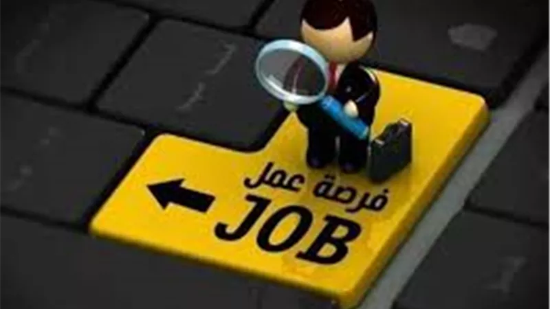 وظائف دون خبرة لحديثي التخرج في تخصصات مختلفة.. اعرف الشروط والتفاصيل