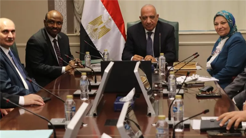 تعاون جديد بين مصر وجيبوتي لتركيب محطة كهرباء بنظم الخلايا الفوتوفلطية 