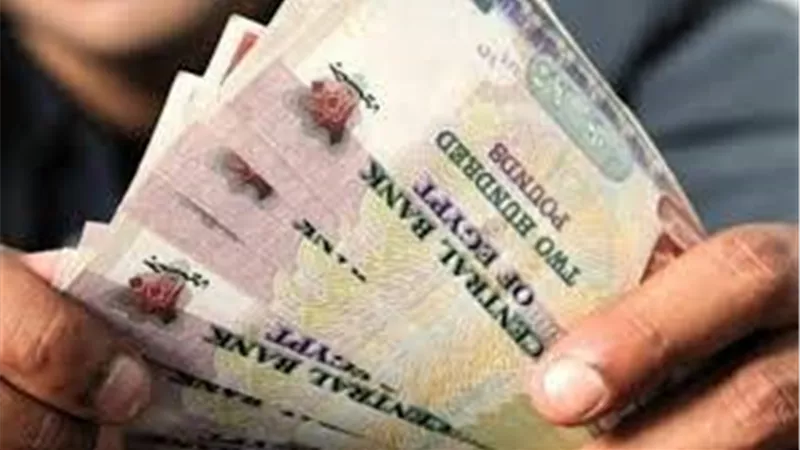 بيان رسمي.. زيادة متوسط الأجر الشهري للعاملين بالقطاعين العام والخاص 16.8%
