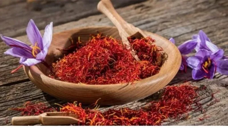 فوائد الزعفران يعزز صحة القلب ويقاوم الالتهابات