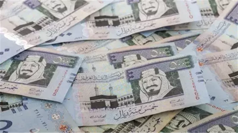 ‎تعرف على سعر الريال السعودي مقابل الجنيه المصري اليوم الخميس 24 أكتوبر 2024