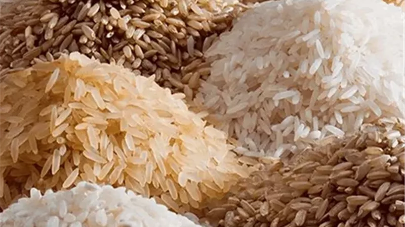 بعد انتهاء موسم الحصاد.. سعر طن الأرز الشعير اليوم الاثنين 4-11-2024 
