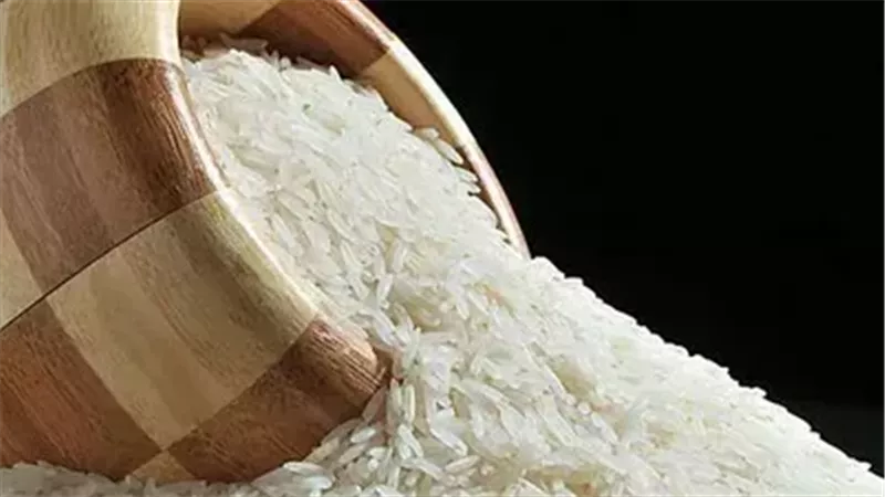 أسعار الأرز الشعير اليوم الجمعة 25 أكتوبر 2024.. الطن بكام؟