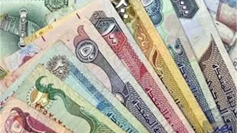 أسعار العملات العربية.. سعر الدرهم الإماراتي اليوم 29-10-2024 في البنوك 