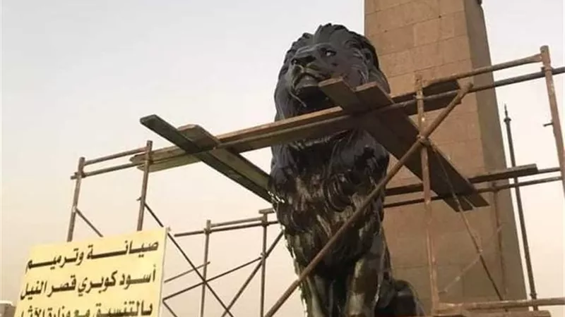 أسود قصر النيل تثير جدلًا جديدًا على السوشيال ميديا.. ما القصة؟