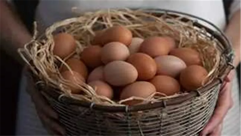 ماذا تعرف عن البيض التركي.. هل أرخص من المصري ؟ التفاصيل كاملة 