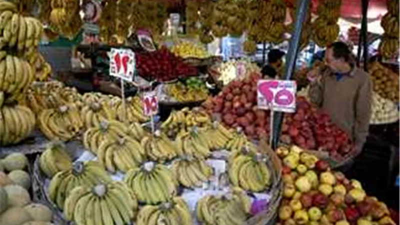  الطماطم بكام؟.. أسعار الخضار والفاكهة اليوم الإثنين 4-11-2024 في سوق العبور 