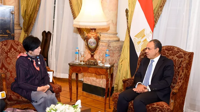 وزير الخارجية يزف بشري سارة حول الاستثمارات اليابانية في مصر