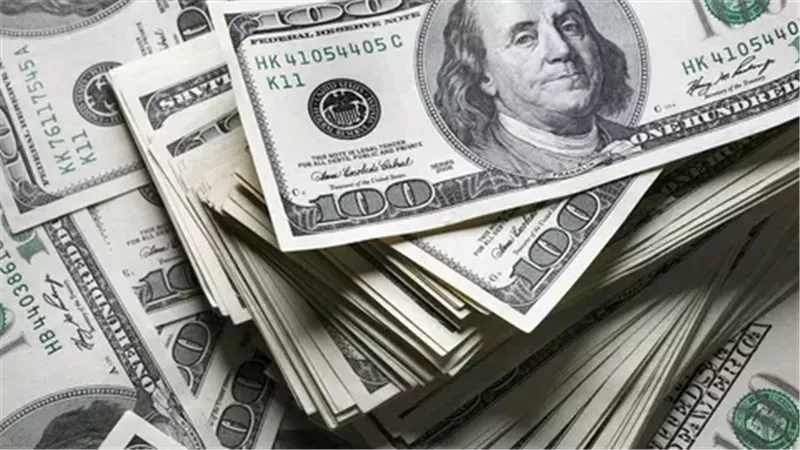 ‎العملات الأجنبية ..  سعر الدولار مقابل الجنيه المصري اليوم الأحد 10-11-2024 