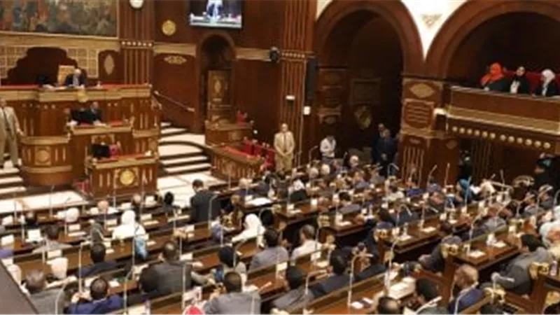 بحضور الوزير.. مجلس الشيوخ يطرح آليات حول تحقيق الانضباط في المدارس 