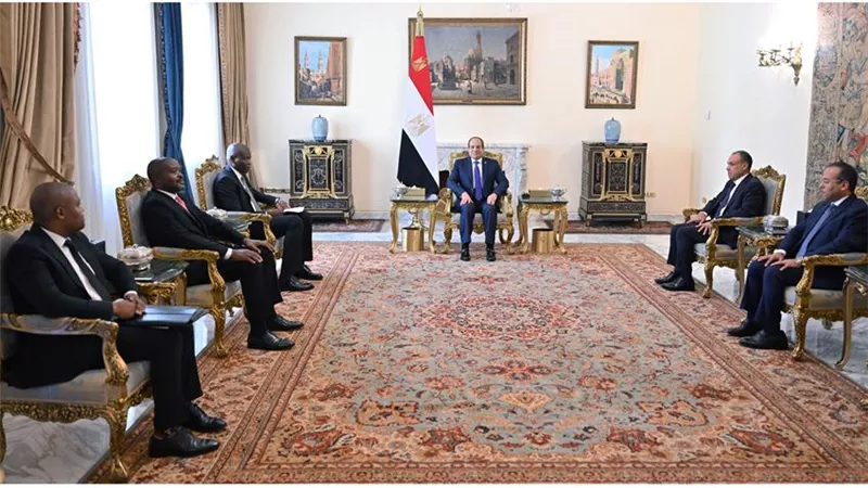 القضايا الأفريقية ومجموعة العشرين.. مباحثات ساخنة بين الرئيس السيسي ووزير جنوب أفريقيا