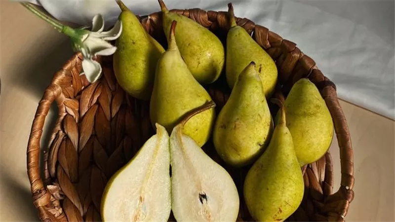 ماذا يحدث لجسمك عند تناول الكمثرى؟.. فوائد مذهلة لصحة القلب والهضم والبشرة