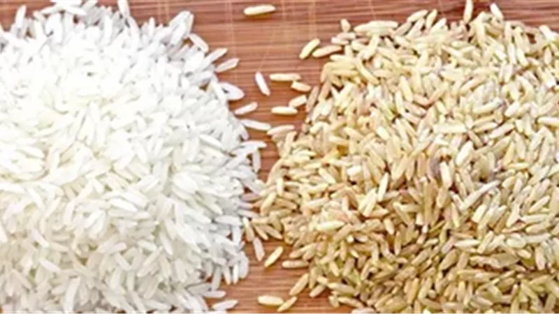 تعرف على آخر تحديث لـ سعر طن الأرز الشعير اليوم الخميس 21-11-2024 للمستهلك  