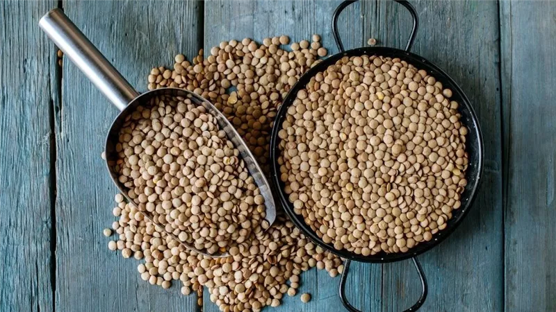 طريقة عمل شوربة العدس البني.. وفوائد عديدة لا حصر لها
