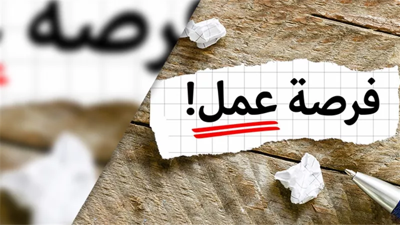 وظائف وزارة العمل شهر مايو.. تفاصيل التقديم في 5242 فرصة عمل