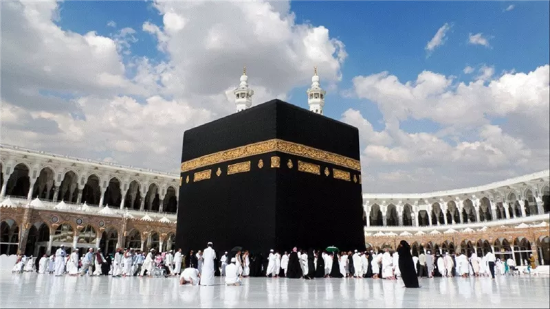 القنصلية المصرية في جدة تنهي أزمة 102 مواطن عالق في المدينة المنورة
