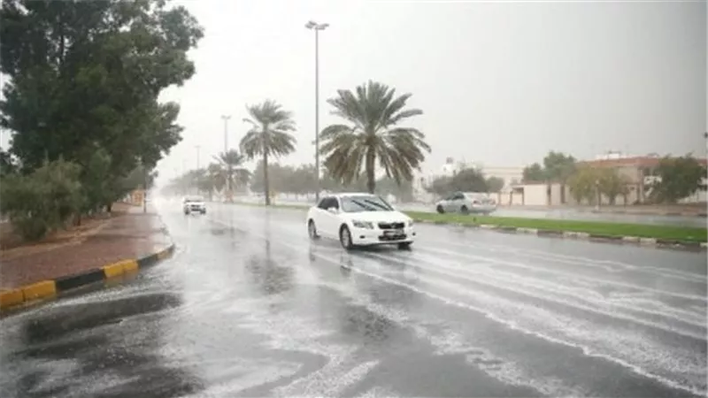 شبورة مائية وسقوط أمطار.. الأرصاد تحذر من حالة الطقس الساعات القادمة 