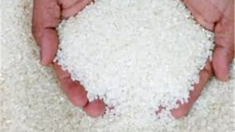 أسعار طن الأرز الشعير اليوم الاربعاء.. اخر التفاصيل 