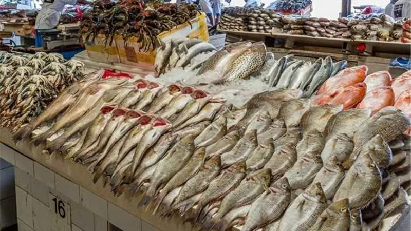 أسعار السمك والجمبري اليوم الخميس 21-11-2024 ..  كيلو الجمبري بـ 650