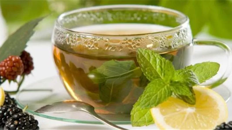 فوائد الشاي الأخضر.. كيف يعزز صحتك ويحسن من نشاطك اليومي؟