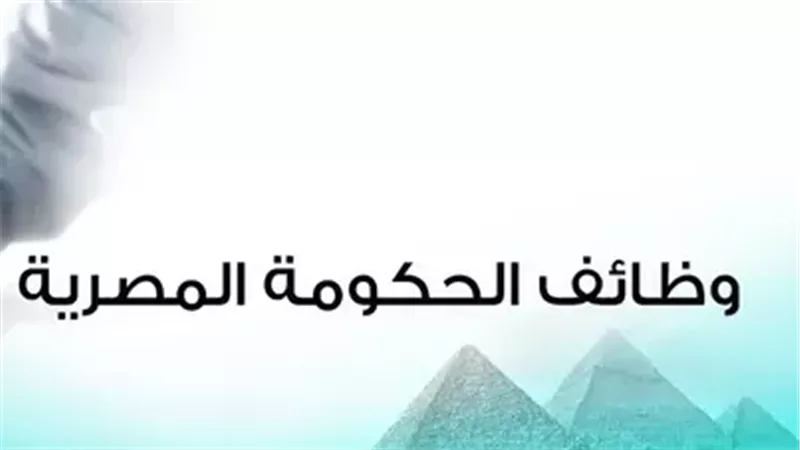 رابط بوابة الوظائف الحكومية.. التقديم وخطوات الاستعلام
