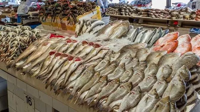 ‎استقرار أسعار السمك و الجمبري اليوم الإثنين 25 نوفمبر 2024