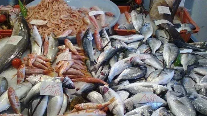 أسعار السمك والجمبري اليوم الثلاثاء 26 نوفمبر 2024