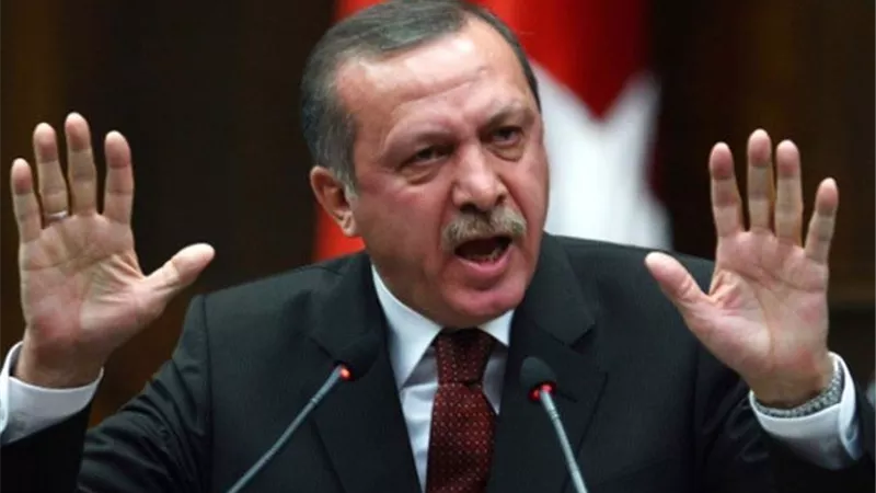 أردوغان يعرض المساعدة لـ وقف إطلاق النار في قطاع غزة