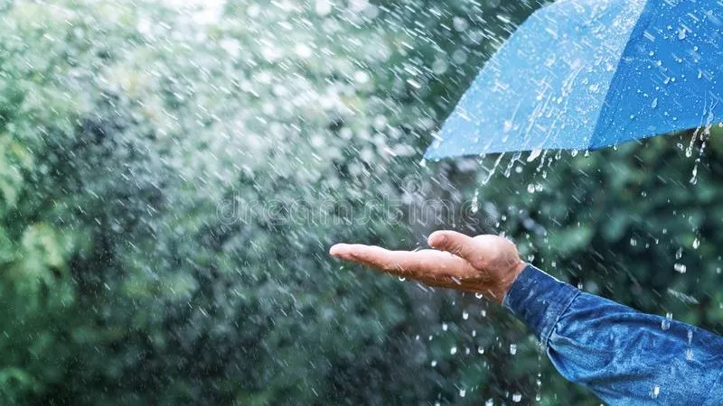دعاء سقوط المطر.. ردده كثيرًا «اللهم أجعله خيرًا وبركة»