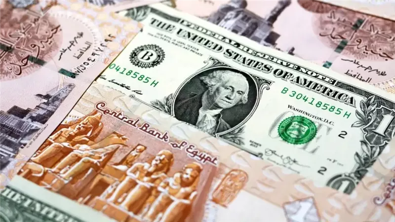 ‎العملات الأجنبية.. اطلع على سعر الدولار مقابل الجنيه المصري اليوم السبت 30-11-2024