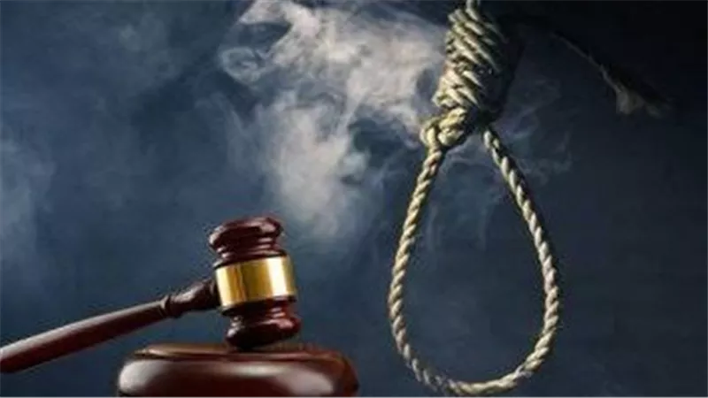 القصة كاملة.. إحالة شقيقين للمفتي بتهمة القتل بالقليوبية.. الحكم في يناير المقبل