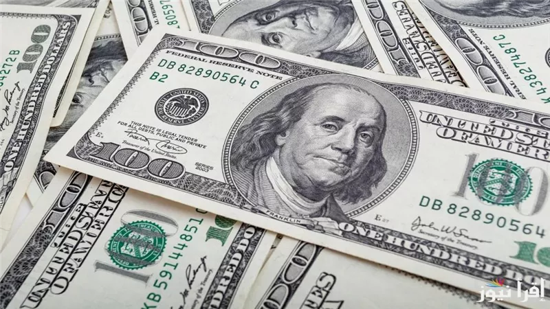 استقرار سعر الدولار مقابل الجنيه المصري اليوم الاثنين 9 ديسمبر 2024