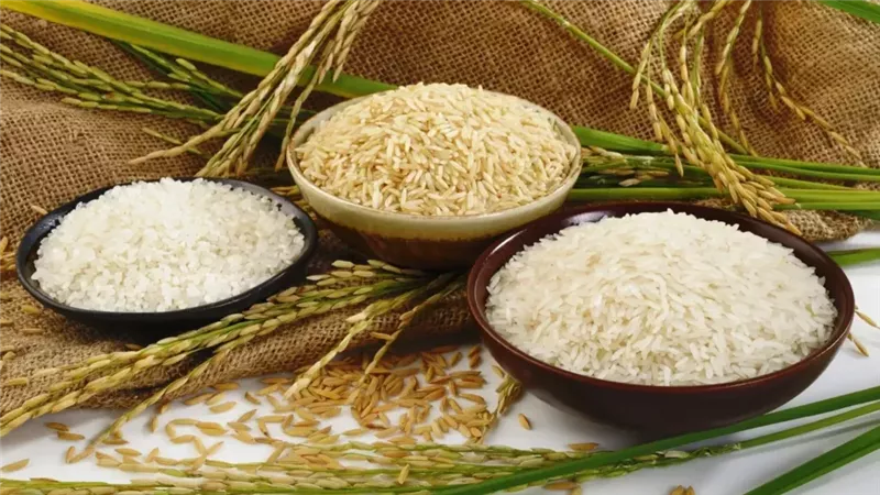أسعار الأرز الشعير اليوم الأحد 8-12-2024 في مصر وتأثيراتها على الاقتصاد